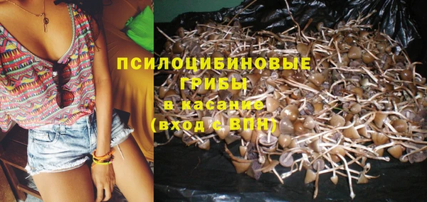 ешки Волоколамск