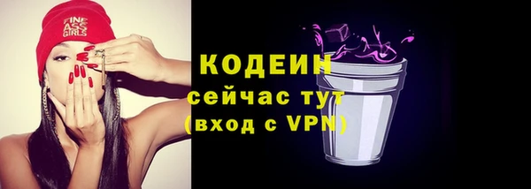 индика Горнозаводск